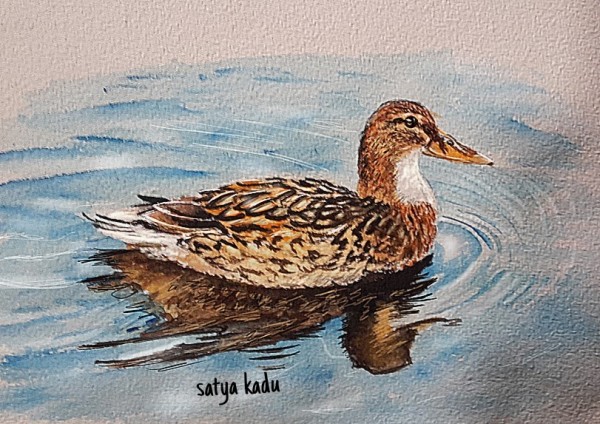Amazing Watercolor Painting Of Duck - DesiPainters.com
