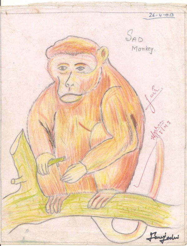Pencil Sketch Of Sad Monkey - DesiPainters.com