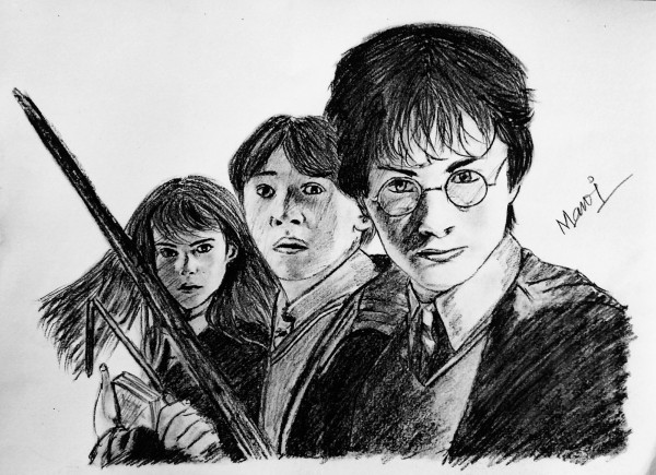 Amazing Pencil Sketch Of Harry Potter With Ron And Hermione - DesiPainters.com