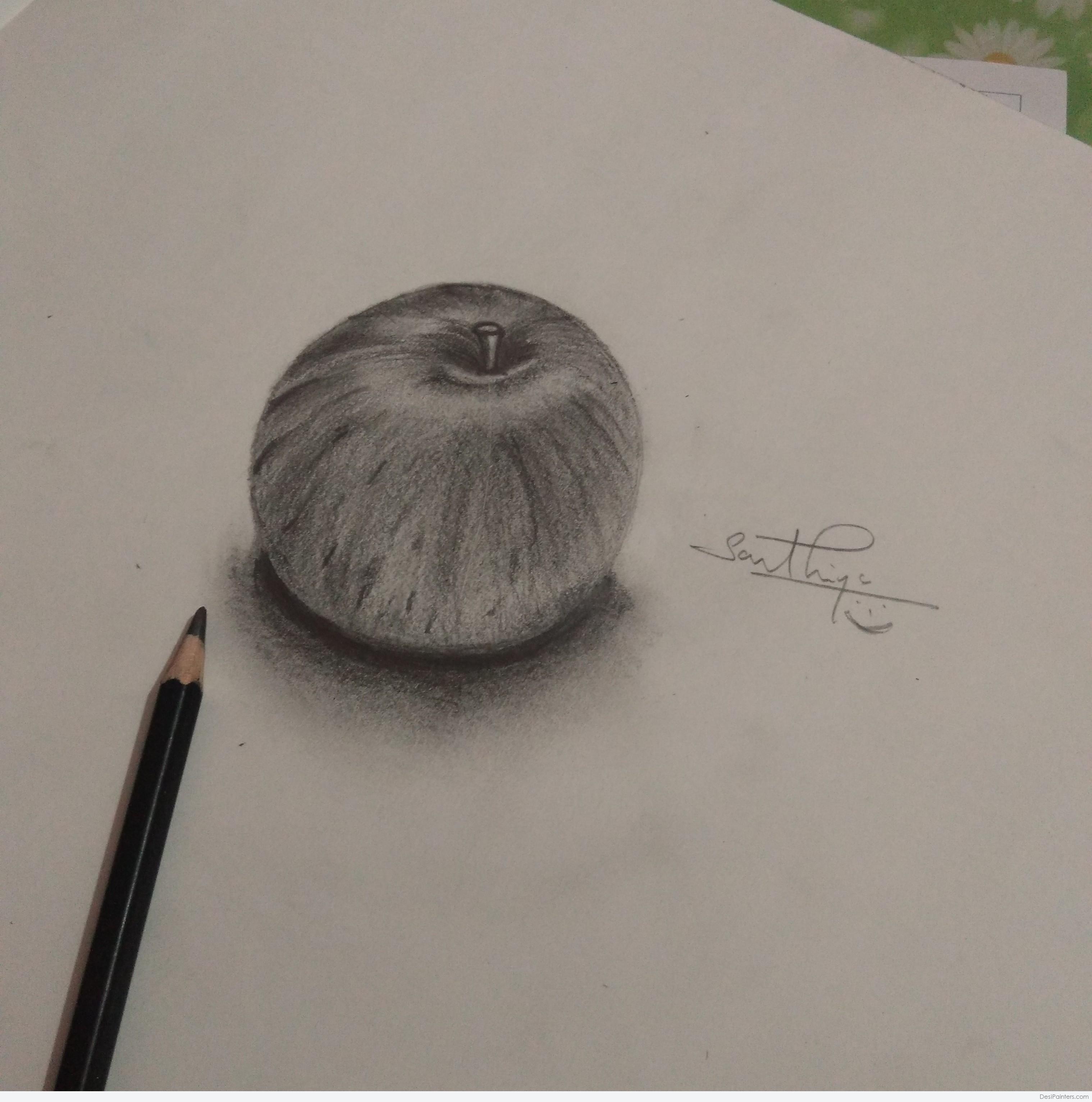 Featured image of post Pencil Sketch Apple Drawing - Why start with pencil sketches?