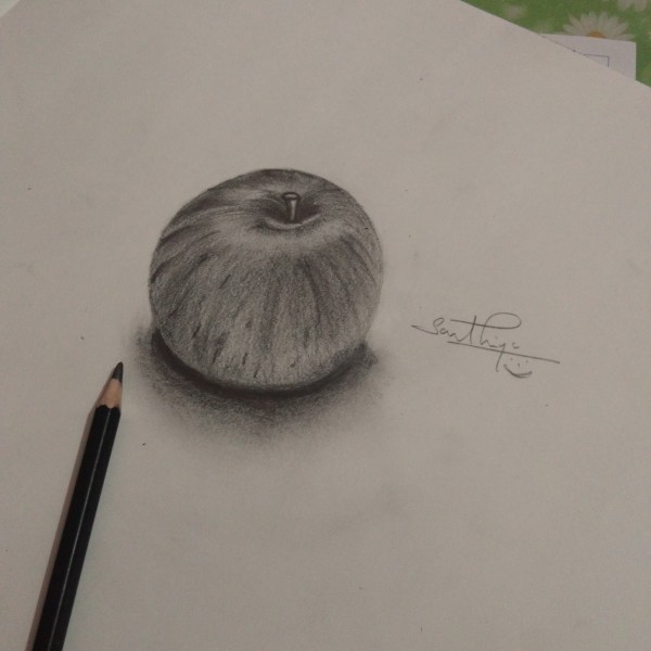 Wonderful Pencil Sketch Of Apple