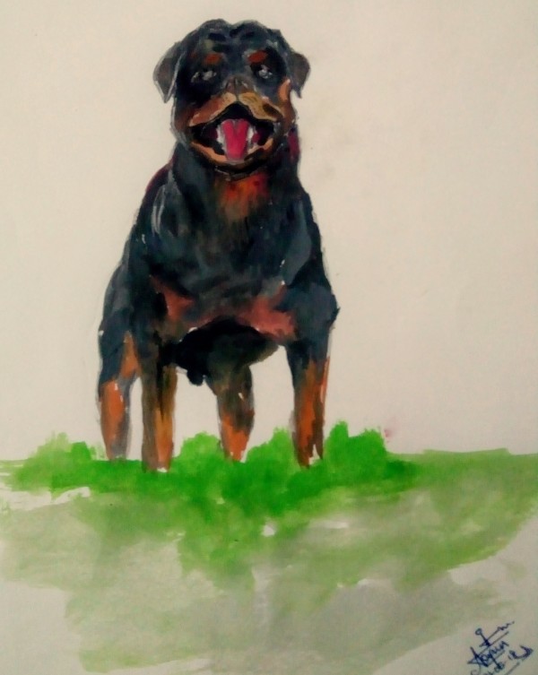 Watercolor Painting Of Rottweiler - DesiPainters.com