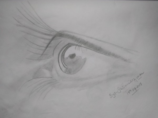 Amazing Pencil Sketch Of An Eye
