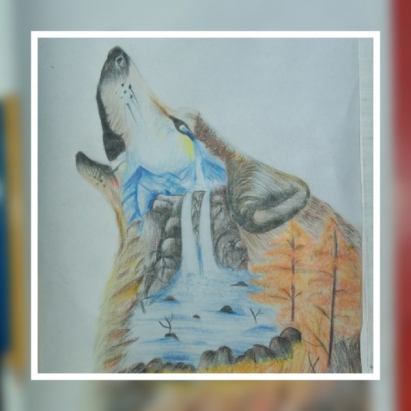 Beautiful Pencil Color Art Of Wolf - DesiPainters.com