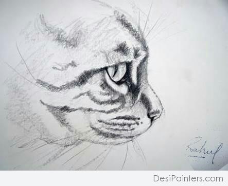 Superb Pencil Sketch Of Cat - DesiPainters.com
