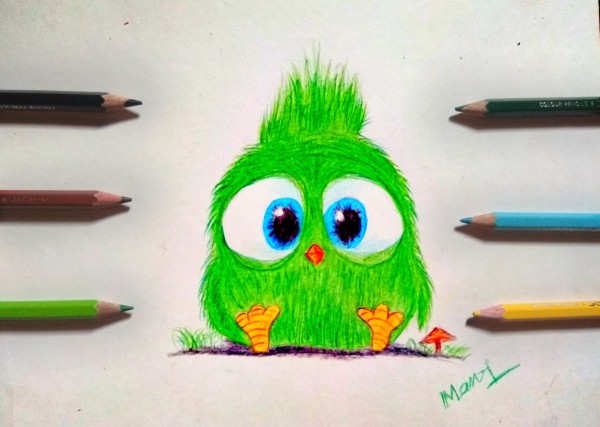 Pencil Color Of Cute Cartoon Bird