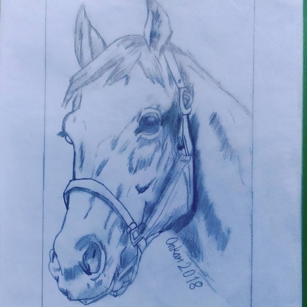 Fantastic Pencil Sketch Of Horse - DesiPainters.com