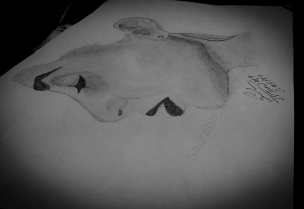 Great Pencil Sketch Of Ketevan Face - DesiPainters.com