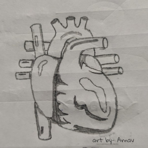 Pencil Sketch Of Heart By Arnav Kumar - DesiPainters.com