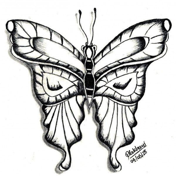 Great Pencil Sketch Of Butterfly By Lakhani Parth - DesiPainters.com