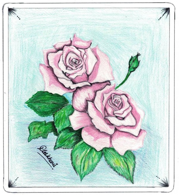 Awesome Pencil Color Of Rose - DesiPainters.com