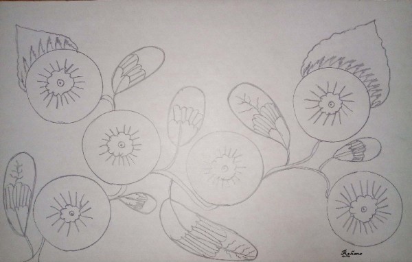 Pencil Sketch Of Flowers By Rehana - DesiPainters.com