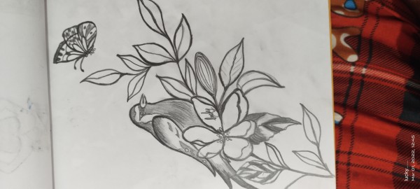 Birds pencil art - DesiPainters.com