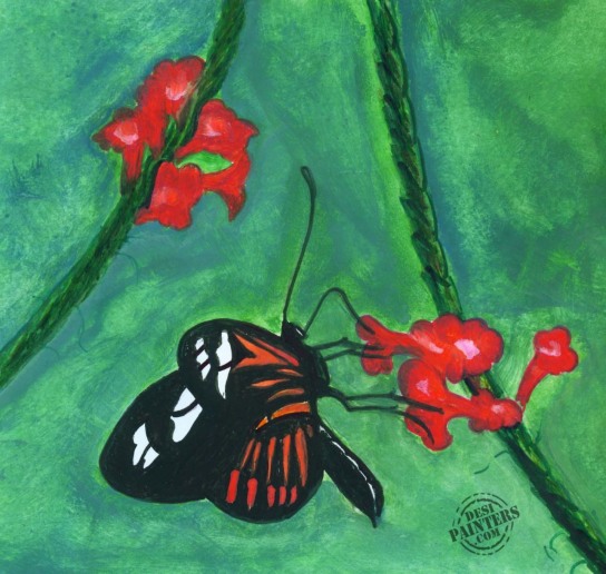 Buttterfly - DesiPainters.com