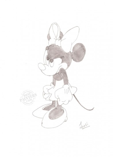 Minnie Mouse - DesiPainters.com