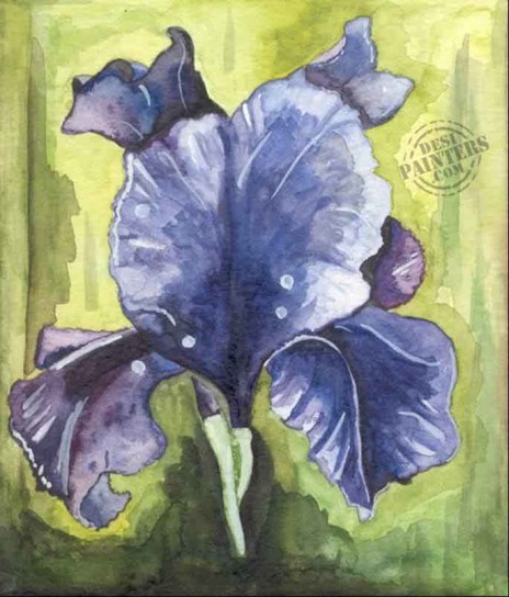 Clitoria - DesiPainters.com