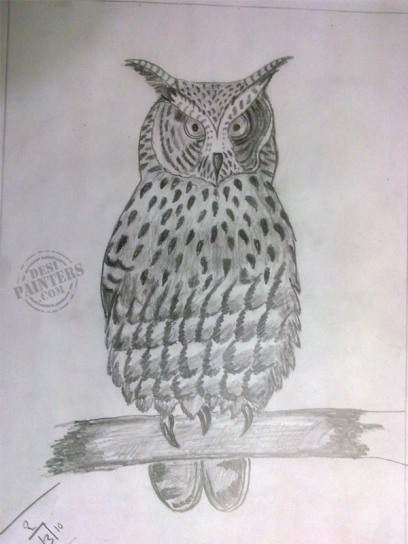 Owl - DesiPainters.com