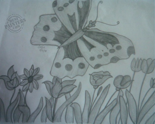 Butterfly