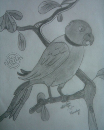 Parrot - DesiPainters.com