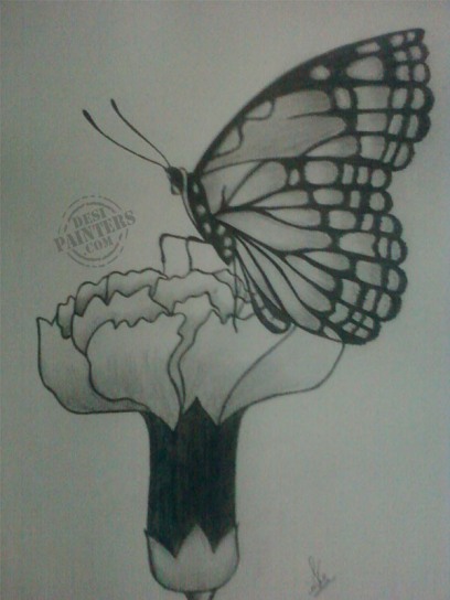 Beautiful Butterfly - DesiPainters.com