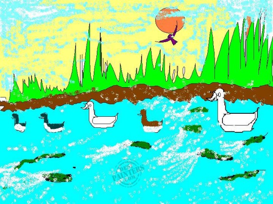 Duck - DesiPainters.com