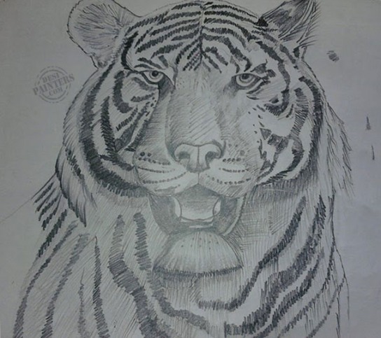 Tiger - DesiPainters.com