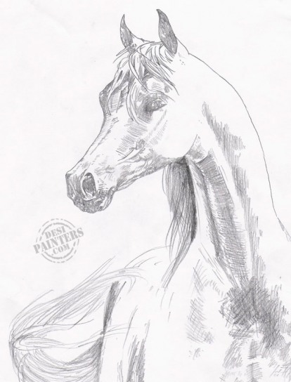 Horse