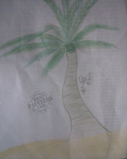 Palm Tree