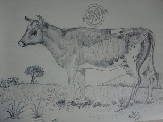 Cow - DesiPainters.com