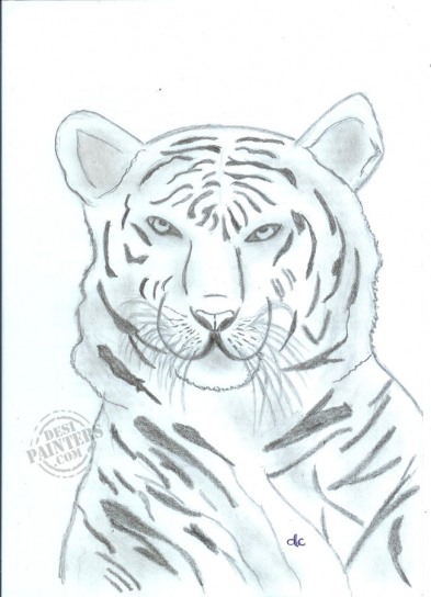 White Tiger - DesiPainters.com