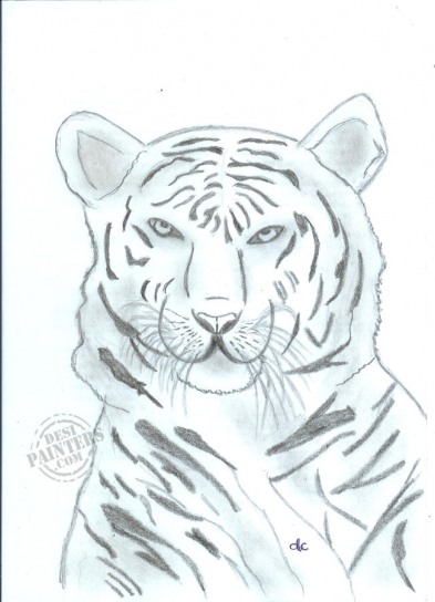 White Tiger