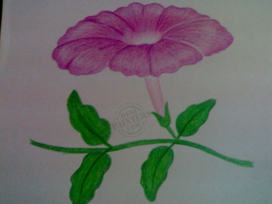 Colored Flower - DesiPainters.com