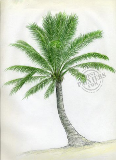 Palm Tree - DesiPainters.com