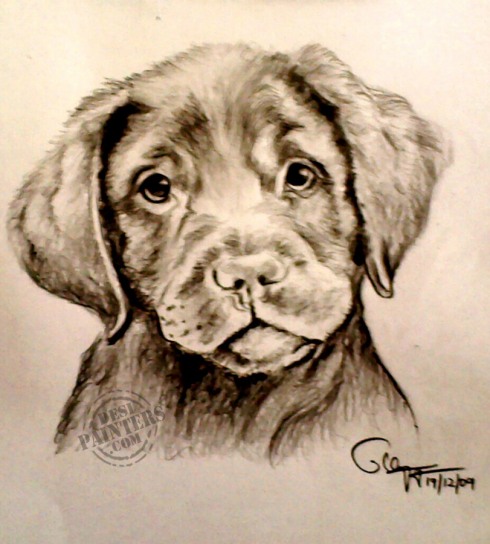 Puppy - DesiPainters.com