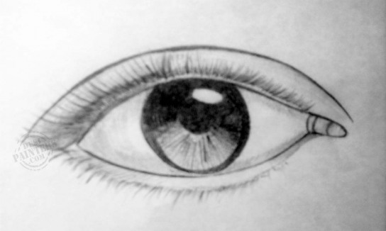 Beautiful Eye