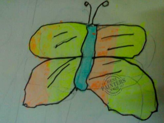 Butterfly