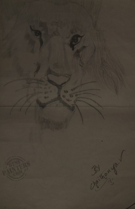 Lion Pencil Sketch - DesiPainters.com