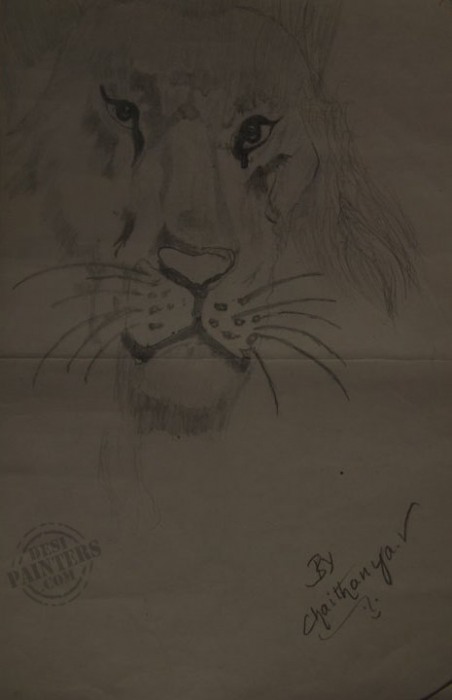 Lion Pencil Sketch