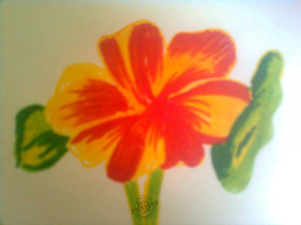 Beautiful Flower - DesiPainters.com