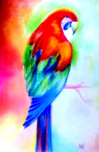Painting Of A Colorful Parrot
