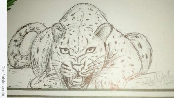Pencil Sketch of Angry Cheeta