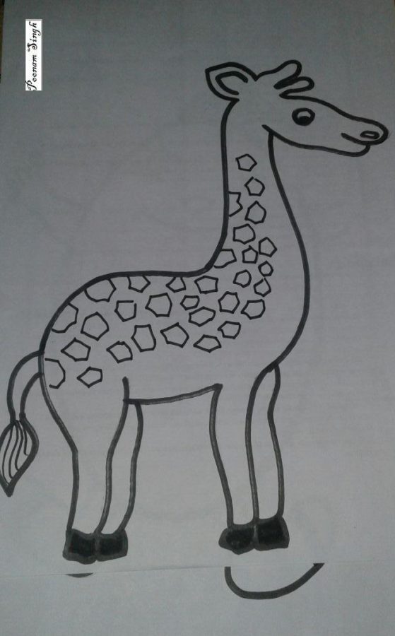 Pencil Sketch of Reindeer - DesiPainters.com