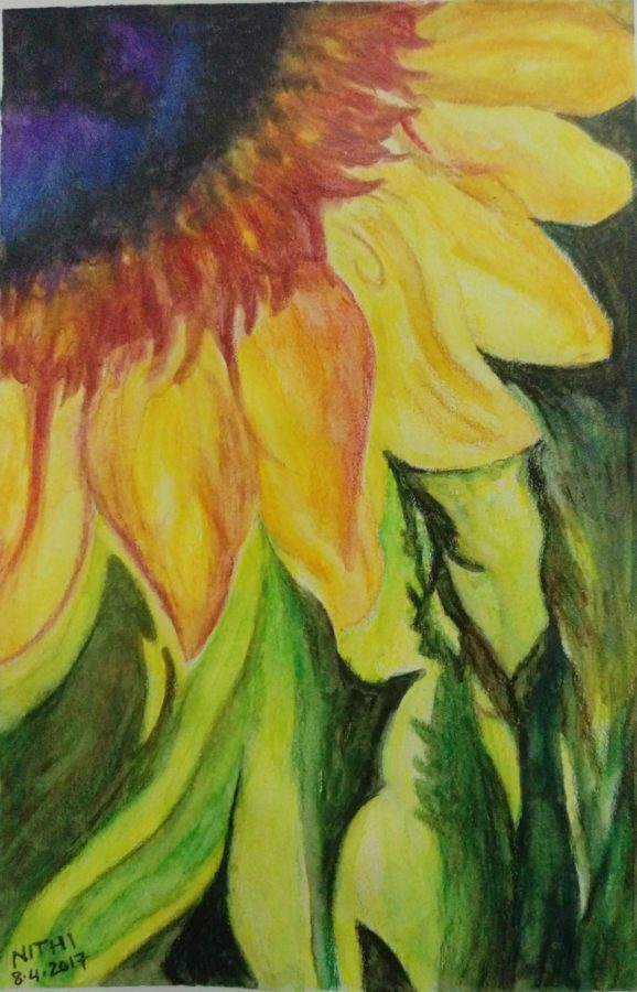 Pencil Color Sketch of Flower - DesiPainters.com